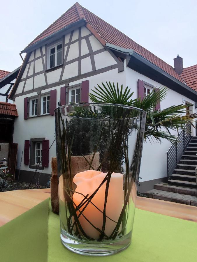 Ilbesheim bei Landau in der Pfalz Hofgarten Rosa מראה חיצוני תמונה