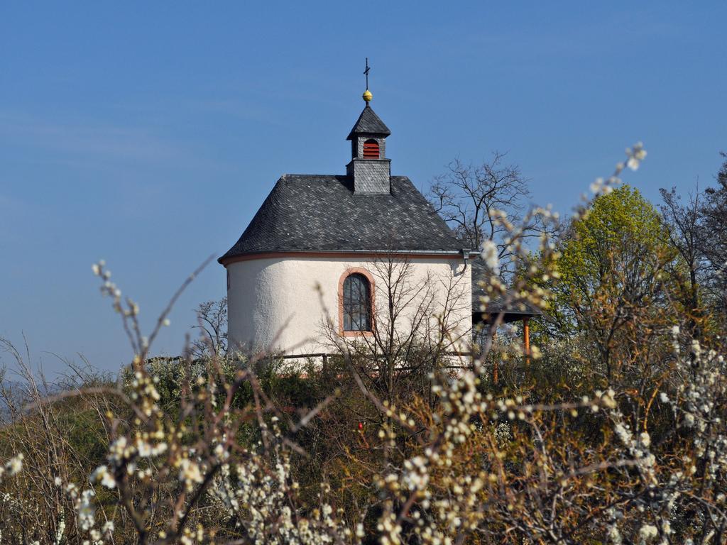 Ilbesheim bei Landau in der Pfalz Hofgarten Rosa מראה חיצוני תמונה