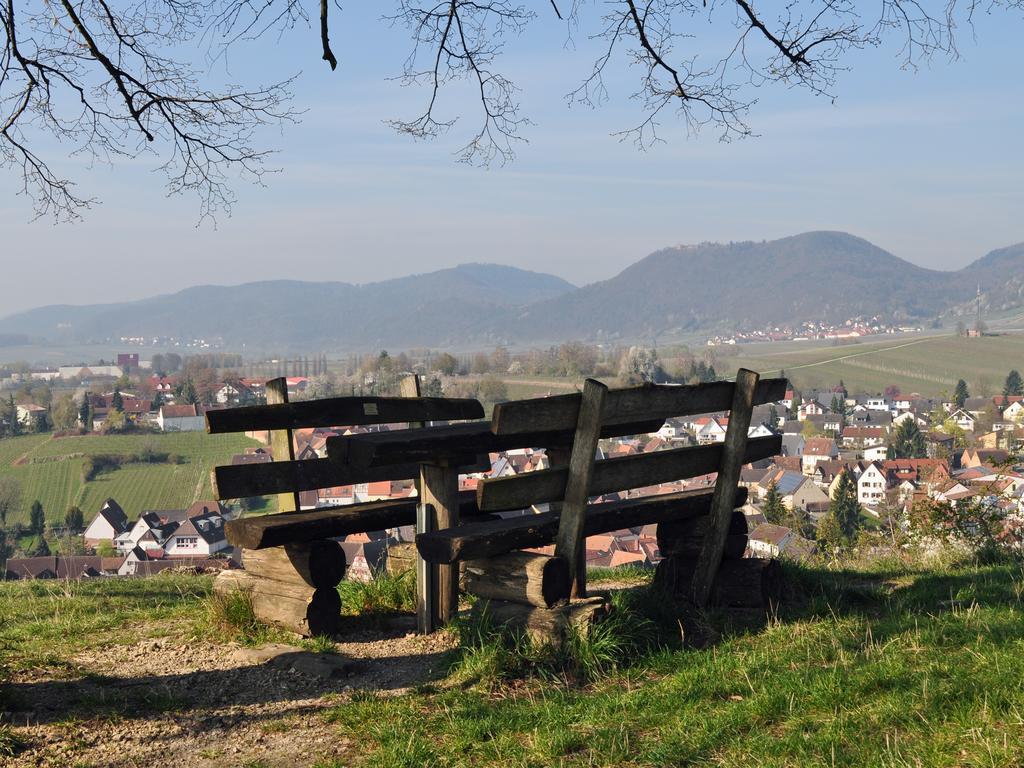 Ilbesheim bei Landau in der Pfalz Hofgarten Rosa מראה חיצוני תמונה